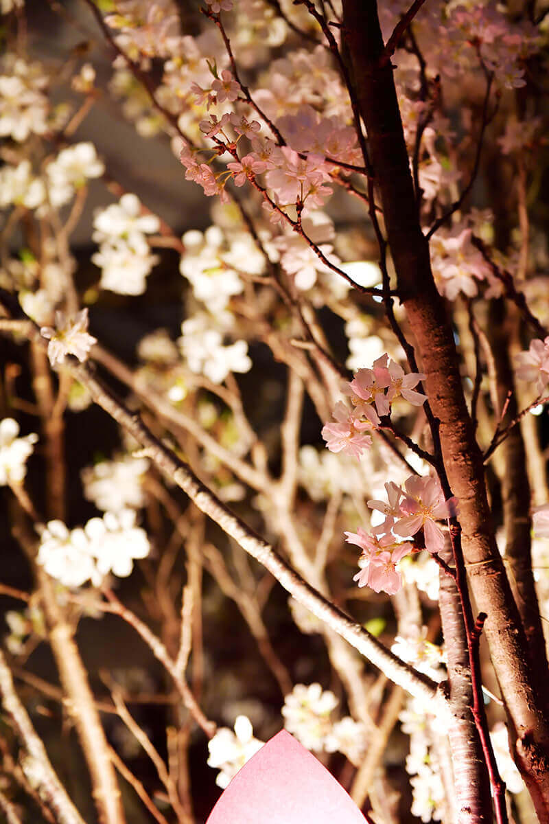 桜祭りイベント