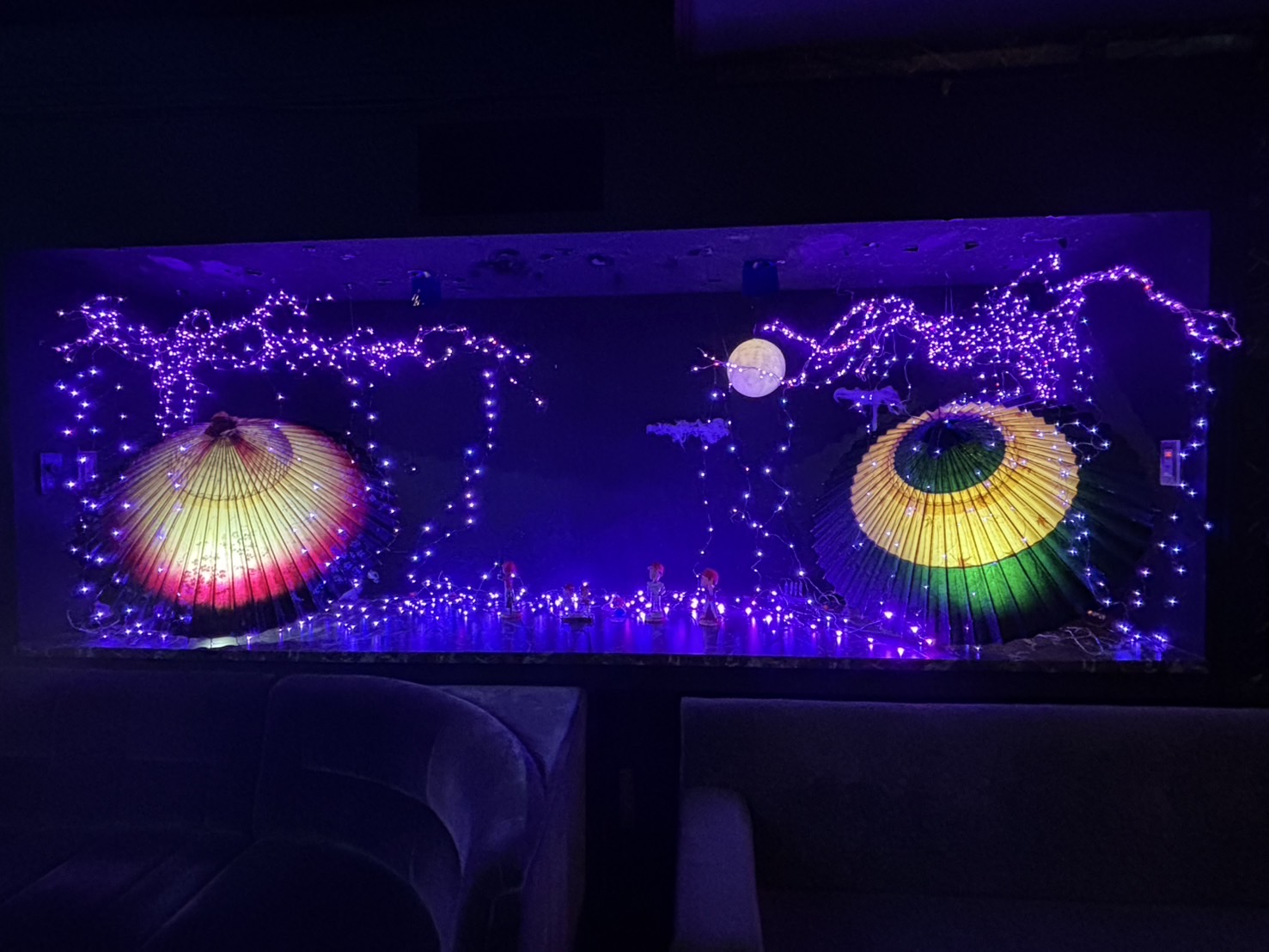 2025 3月 桜祭り写真